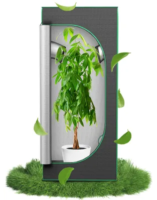 Produktbild von LZQ Growzelt 60x60x120 cm, Indoor Grow Tent mit Sichtfenster, stabiles Pflanzenzelt für Indoor Pflanzenanbau