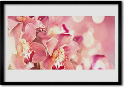 Produktbild von Bild 100x70 MDF-Rahmen Wandkunst Blumen Pflanzen
