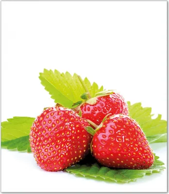 Produktbild von Wallario Herdabdeckplatte aus Glas, Größe 52 x 60 cm 1-teilig, Motiv Frische rote Erdbeeren für die Küche