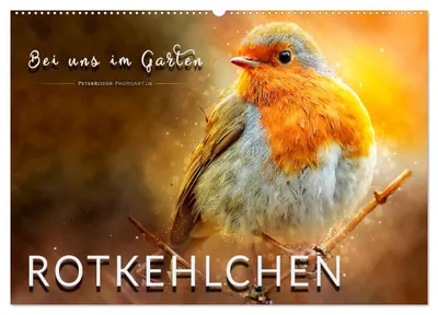 Produktbild von Bei uns im Garten - Rotkehlchen (Wandkalender 2027 DIN A2 quer), CALVENDO Monatskalender