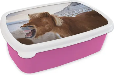 Produktbild von KitchenYeah® Lunchbox Brotzeit Brotdose 17x11 cm Lächelndes Islandpferd bei Sonnenuntergang Kinder Brotzeitdose - Lunchpaket - Brotkasten  - Sandwich Box
