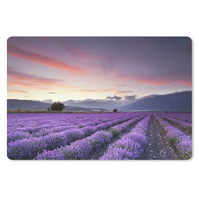 Produktbild von MuchoWow® Schreibtischunterlage Sonnenuntergang über Lavendel 60x40 cm - XXL Mauspad - Großes Mauspad