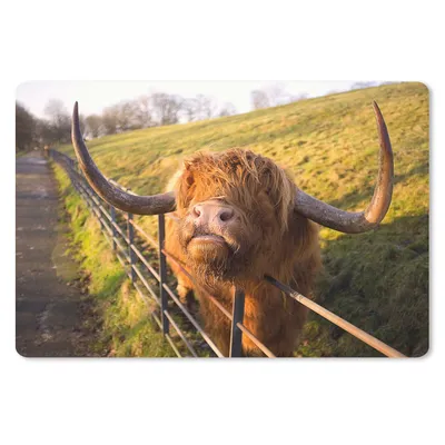 Produktbild von MuchoWow® Mauspad Mousepad Scottish Highlander - Zaun - Gras 27x18 cm - Mousepads - Maus Mat - Pad - Mausunterlage - Büroartikel - Desk Matten