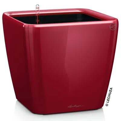 Image de LECHUZA Pot de fleurs QUADRO Premium LS 50 Rouge Scarlet brillant | Pot de fleurs avec système d'arrosage| Surface brillante | 50 x 50 x 46,5 cm | 16287
