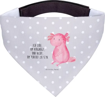 Produktbild von Mr. & Mrs. Panda Tuch Axolotl Niedlich - Grau Pastell - Geschenk, Hundehalstuch, Axolot, Liebe, Freundin, Halstuch Für Hunde, Hund, Lebensweisheit, Fröhlich