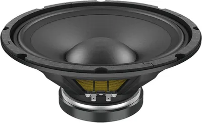 Immagine prodotto di WSF122.02 Woofer da 12', ferrite, cestello in acciaio