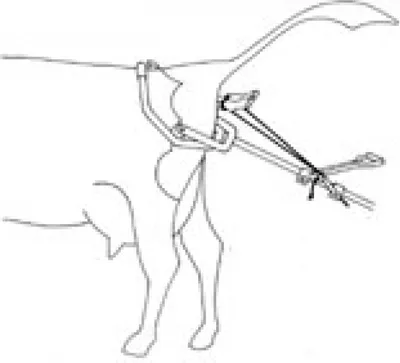 Produktbild von Vink Geburtshelfer 180 cm für Milchvieh