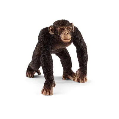 Produktbild von Schleich Schimpanse Männchen