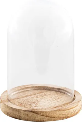 Image de Cloche en verre avec socle en bois 21 cm -