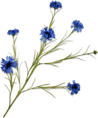 Productafbeelding van Kunstbloemen van Silk-ka – Bloemtak van zijde, blauw, 92 cm