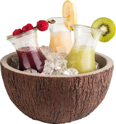 Immagine prodotto di APS ELEMENT Schale -COCONUT- 30021
