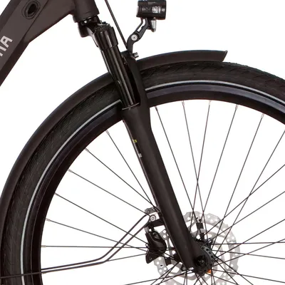 Produktbild von Cortina Fork E-Oocta N8 Black Matt