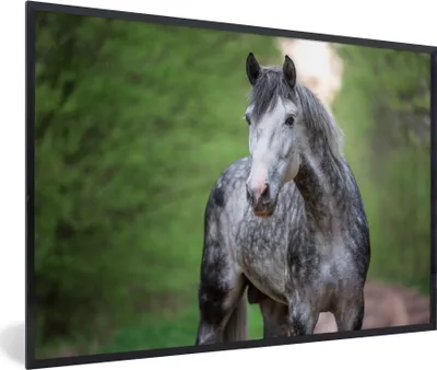 Produktbild von MuchoWow® MuchoWow® Gerahmtes Poster Pferd - Wald - Porträt 90x60 cm - Poster mit zchwarzem Bilderrahmen - Fotorahmen - Foto-Plakat