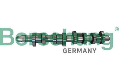 Produktbild von Borsehung B11306 Nockenwelle für VW Golf V Schrägheck (1K1) POLO (9N) TOURAN (1T1, 1T2) Passat Variant (3C5) für AUDI A3 Sportback (8PA)