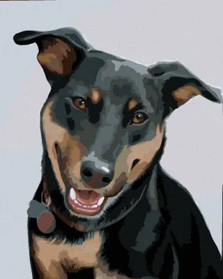 Produktbild von Zuty - Malen nach Zahlen - ROTTWEILER 2 (MYROSLAVA VOLOSCHUK), 40x50 cm, mit Keilrahmen (bereits gespannt)