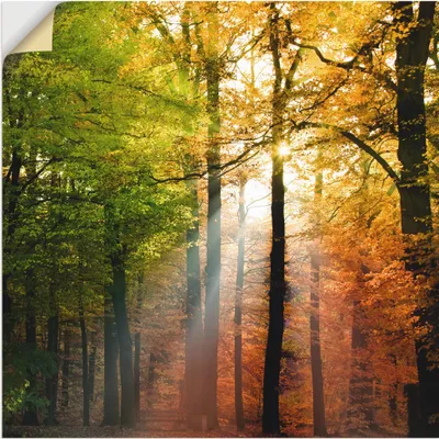 Produktbild von ARTland Wandbild, selbstklebend Schöner Herbsttag 2 Größe: 40x40 cm