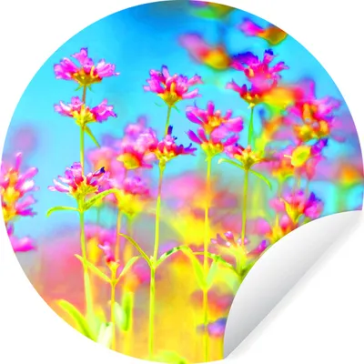 Obrázok produktu pre MuchoWow® Nálepka na tapetu - Kvety - Umenie - Psychedelické - 80cm