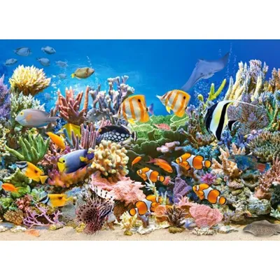 Immagine prodotto di Puzzle 260 pezzi Colore dell'Oceano 27279