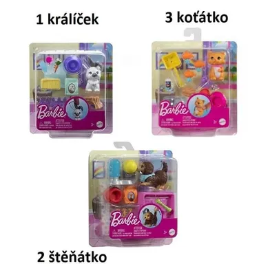 Produktbild von Barbie Zwierzątko + akcesoria HKD82