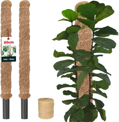 Immagine prodotto di KOTARBAU® 2 pezzi Tutori per Piante ⌀ 3,2 x 60 cm Palo di Muschio per Monstera Fibra di Cocco Palo per Piante Marrone Stecche per Piante Bastone
