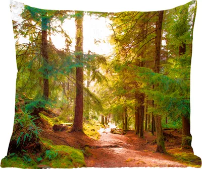 Produktbild von MuchoWow® Zierkissen Sofakissen Wohnzimmer Dekokissen 45x45 cm Wald - Weg - Bäume - Grün - Sonne - Natur - Schlafpolster - Polster für das Sofa