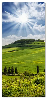 Produktbild von Wallario selbstklebende Türtapete 93 x 205 cm - Strahlender Sonnenschein - Abwischbar, rückstandsfrei zu entfernen