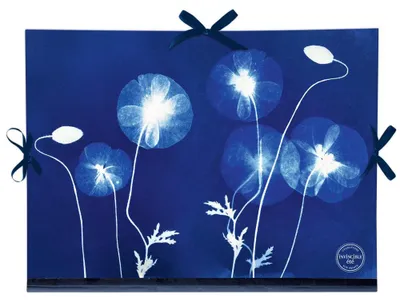 Produktbild von Cyanotype Zeichenmappe 28x38cm