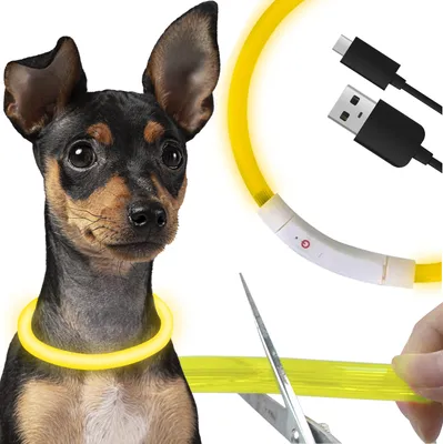 Obrázok produktu pre PURLOV 24200 LED svetelný obojok pre psov