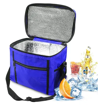 Productafbeelding van Koeltas - Opvouwbaar - 10 liter - Waterdicht - Blauw