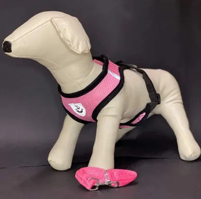 Produktbild von REFLEX Hundegeschirr mit Leine S - rosa
