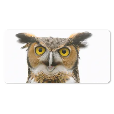 Produktbild von MuchoWow® Schreibtischunterlage Eule - Vogel - Porträt 80x40 cm - XXL Mauspad - Gaming Mauspad