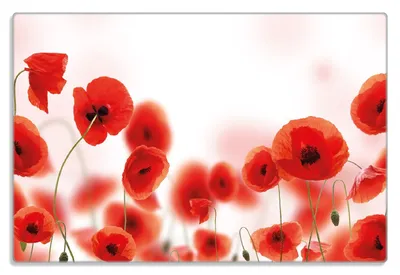 Produktbild von Wallario Frühstücksbrettchen aus Glas 20 x 30 cm mit rutschfesten Füßen, Motiv Leuchtende Mohnblumen - Rote Mohnblumenblüten