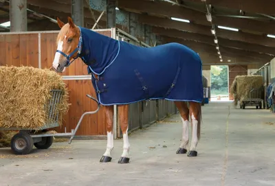 Immagine prodotto di Coperta in pile polare Ekkia RIDING WORLD „COMBO“, cinghie incrociate 145 cm