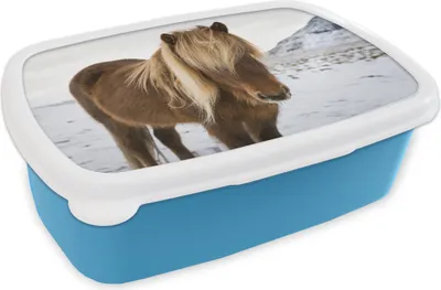 Produktbild von KitchenYeah® Lunchbox Brotzeit Brotdose 17x11 cm Porträt eines neugierigen Islandpferdes Kinder Brotzeitdose - Lunch - Kunststoff  - Brotbüchse - Sandwichbox - Lunchbox für Kinder