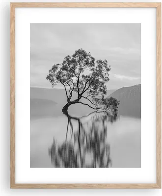 Produktbild von Gerahmtes Poster - Rahmen in heller Eiche - Baum Symmetrie See - 40x50 cm - Wand Bild - Wanddeko - Wandbilder - Kunstposter - Wandposter - Bilderrahmen - Bilder - Kunstdruck - P2NPA40x50-4514