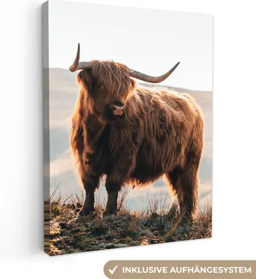Produktbild von MuchoWow® - Leinwandbilder - Schottische Highlander - Tiere - Ländlich - Landschaft - Kuh - Natur, Wandbild, Wanddeko Bilder Wohnzimmer, 60x80 cm