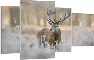 Produktbild von Bild auf Leinwand - Leinwandbild - Hirsch Wald Natur - 120x70cm - Wand Bild - Wanddeko - Wandbilder - Leinwanddruck - Bilder - Kunstdruck - Wanddekoration - Leinwand bilder - Wandkunst - DL120x70-3744