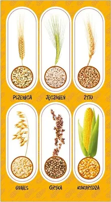 Obrázok produktu pre RANOK 53090 Nálepka na müsli