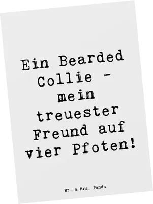 Produktbild von Mr. & Mrs. Panda Postkarte Spruch Bearded Collie Freund - Weiß - Geschenk, treuester, Fotokarte, liebenswert, Grußkarte, bildkarte, Hunderassen Vielfalt, Ansichtskarte