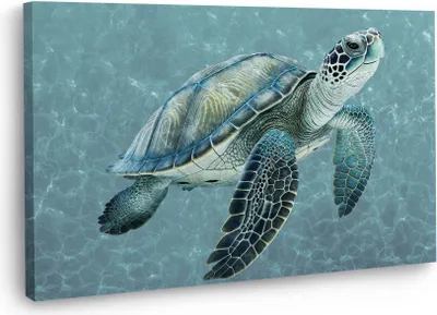 Produktbild von Meeresschildkröte Wandbild Schildkröte Leinwandbild Kunstdruck XL Wanddeko: 90x60x4cm