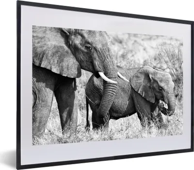 Produktbild von MuchoWow® MuchoWow® Gerahmtes Poster Elefant - Tiere - Gras - Schwarz und weiß 60x40 cm - Poster mit zchwarzem Bilderrahmen - Schlafzimmer - Plakat in Rahmen - Drucken