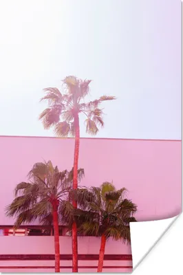 Produktbild von MuchoWow® Poster Palme - Garten Poster - Rosa 120x180 cm - Kunstposter