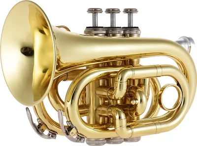Zdjęcie produktu dla Mini Trąbka Kieszonkowa Bb Płaski Dęty Blaszany Instrument Dęty z Ustnikiem Rękawiczki Czyszczenie Ściereczka Futerał