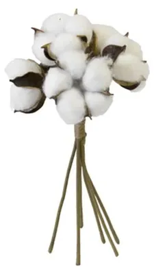 Baumwollblumenstrauß, 6 Köpfe, 24 cm, weiß