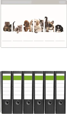 Produktbild von Wallario 6 Stück breite Ordner inkl. Klebeetiketten mit Motive Hundewelpen und Katzenjunge -  Set mit Rückenschildern / Ordnerrücken Stickern
