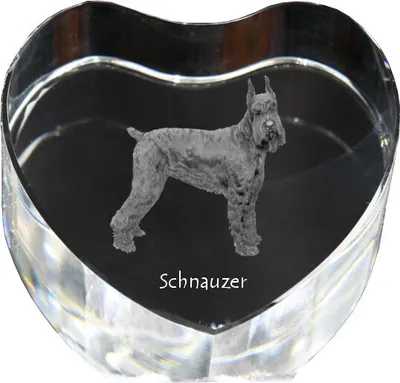 Produktbild von Schnauzer I - Hundebild im Kristall, Kristallherz, einzigartiger Bilderrahmen der Marke Art-Dog