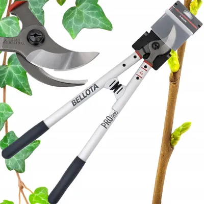 Produktbild von Bellota Bypass-Gartenschere für frische Äste, 60 cm
