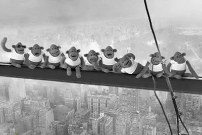 Image de Monkey - Poster - On Girder