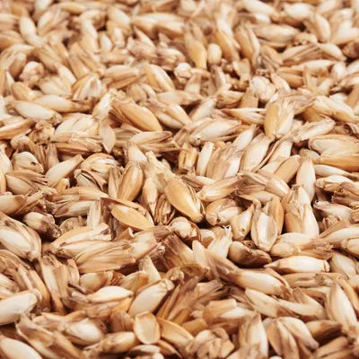 Produktbild von Dinkelspreu 250g Naturfüllung für Kissen und Bastelprojekte 250 Gramm