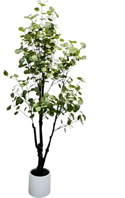 Produktbild von Künstlicher Eukalyptusbaum mit LED - 180 cm - Dekorative Kunstpflanze im Topf mit weißem Pflanzgefäß für Innen & Außen